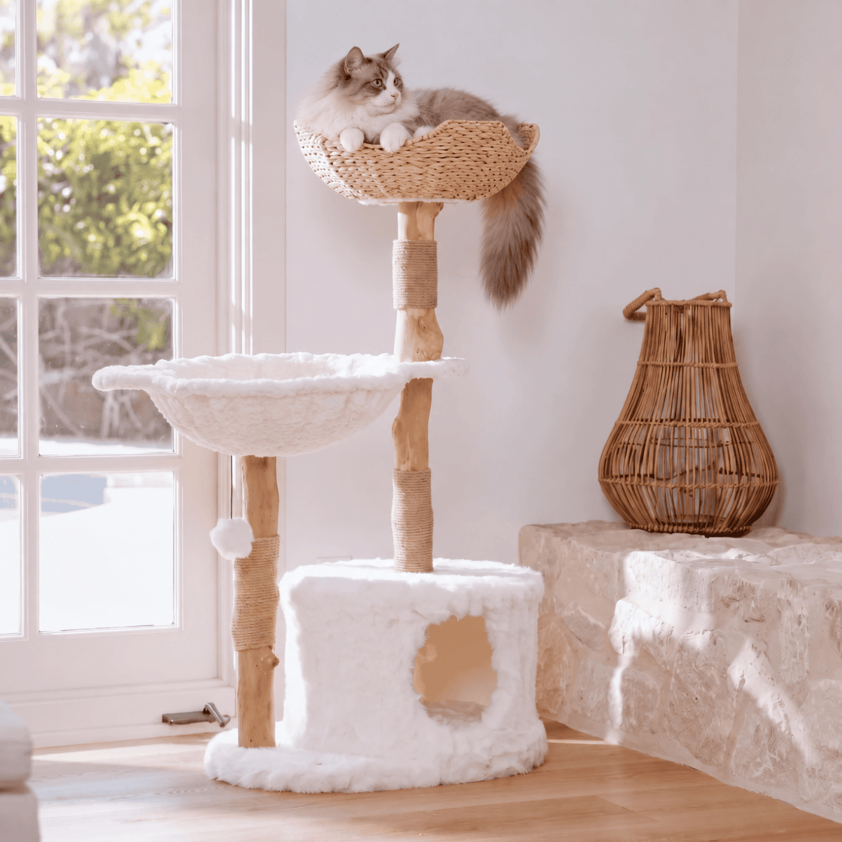 Arbre à chat en bois  - Alba