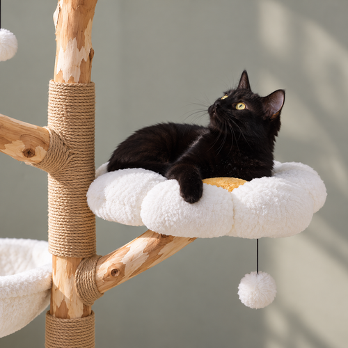 Arbre à chat en bois - Sora Capilya