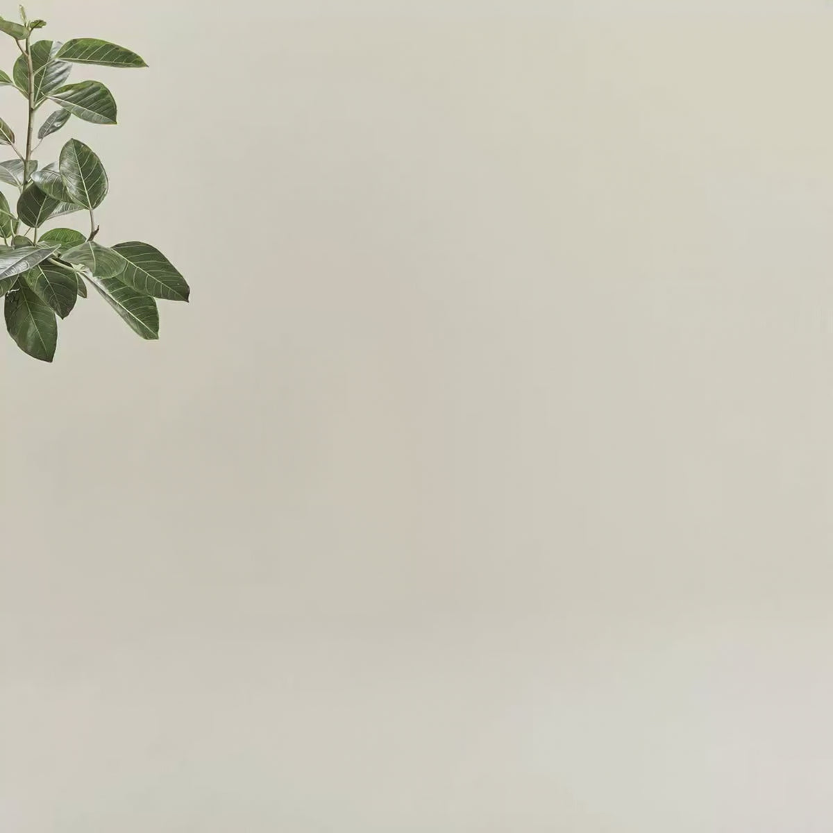 Arbre à chat en bois - Luma