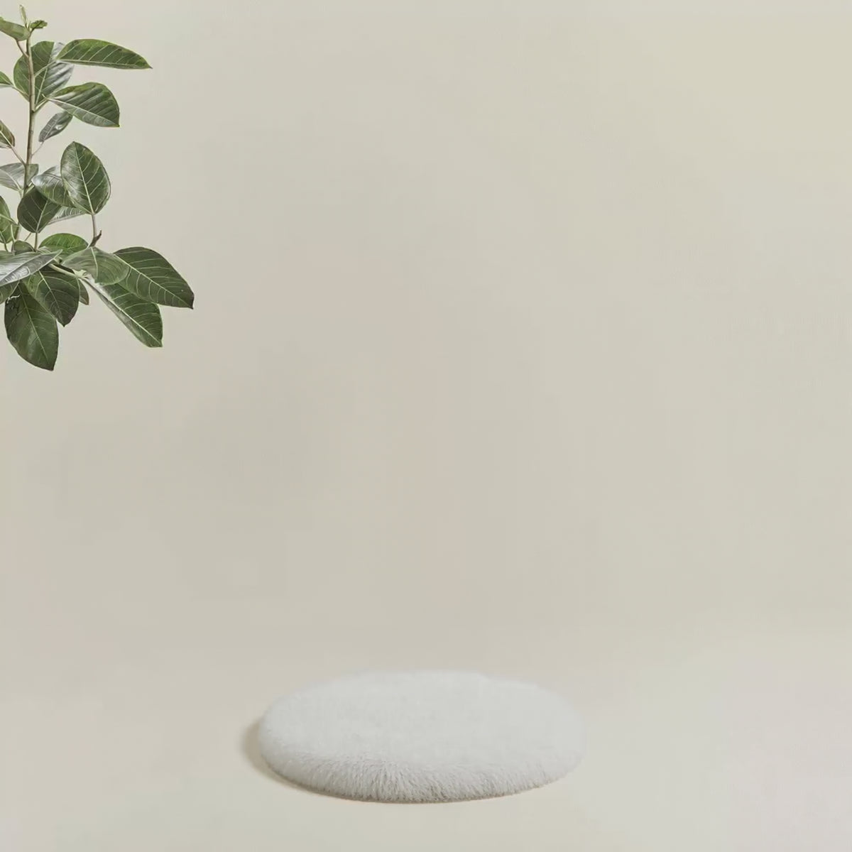 Arbre à chat en bois - Noma