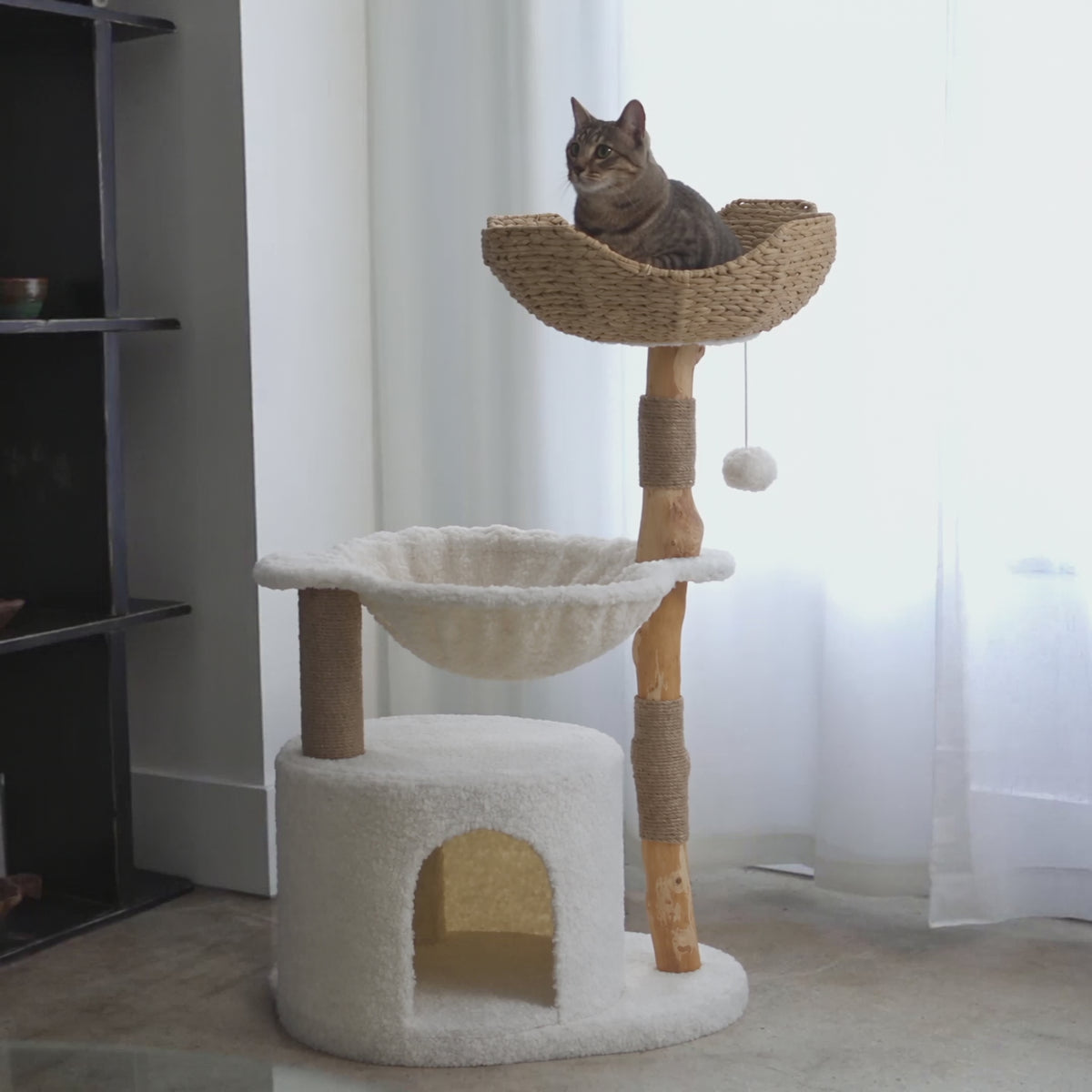 Arbre à chat en bois  - Alba