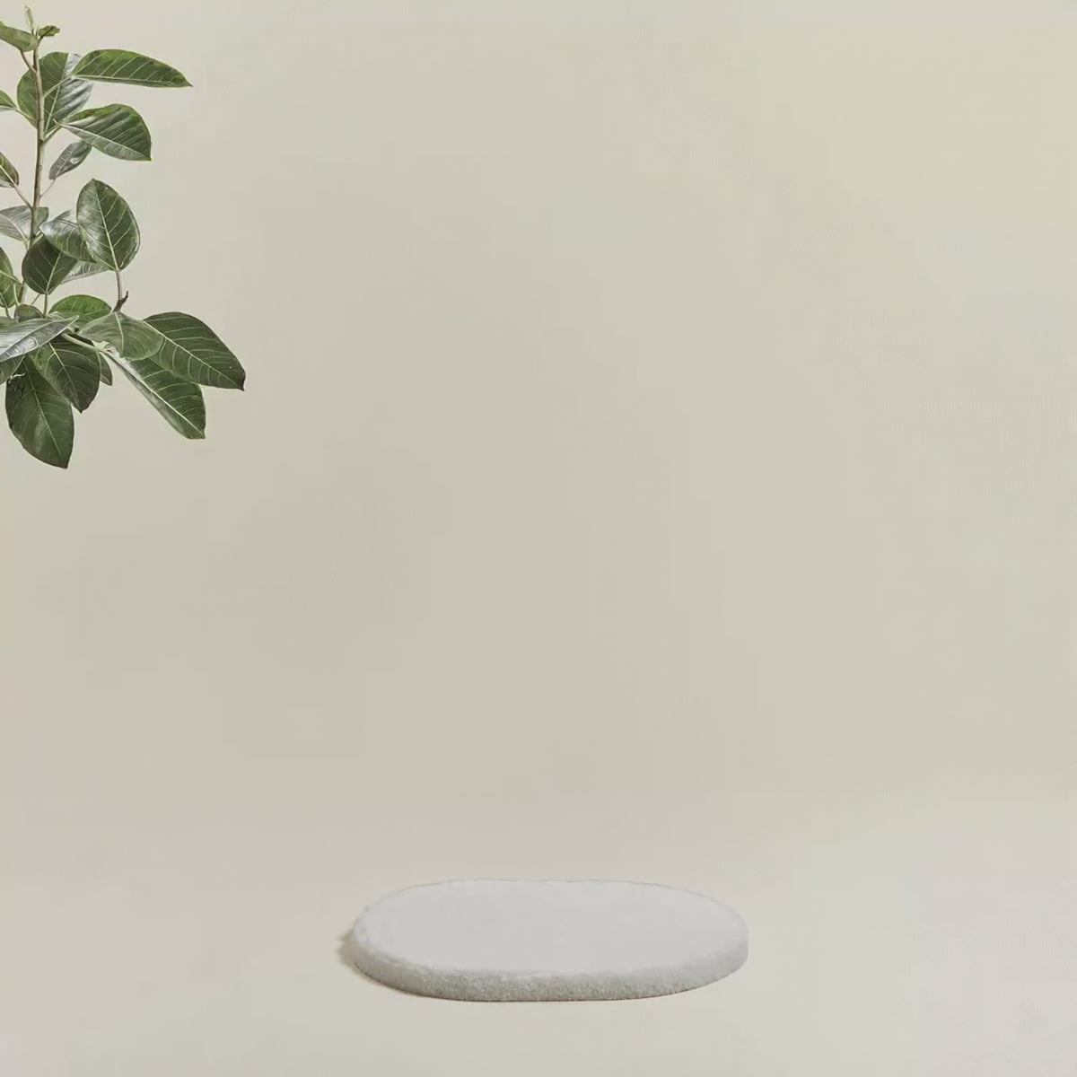 Arbre à chat en bois  - Alba